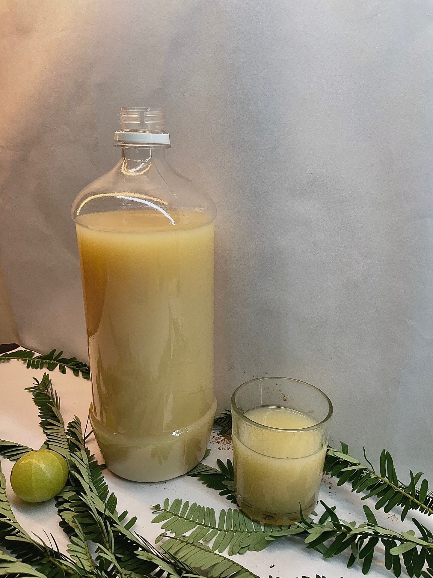 Dhatri Amla Juice – Pure Wellness from Pratapgarh