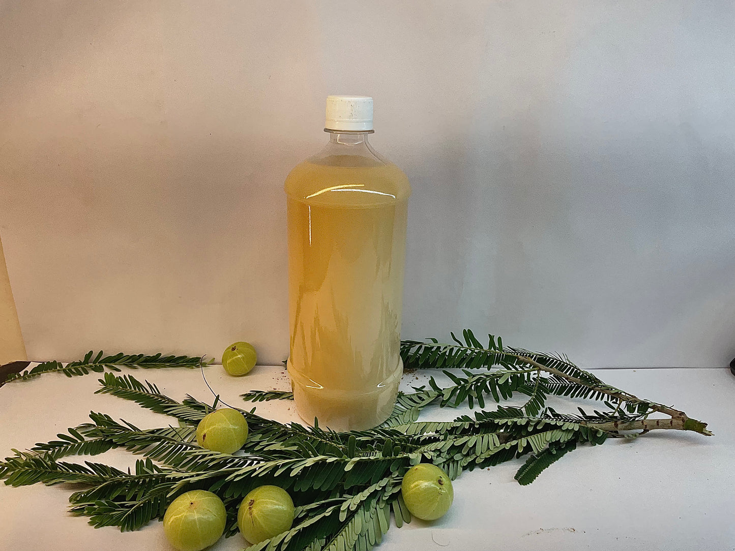 Dhatri Amla Juice – Pure Wellness from Pratapgarh