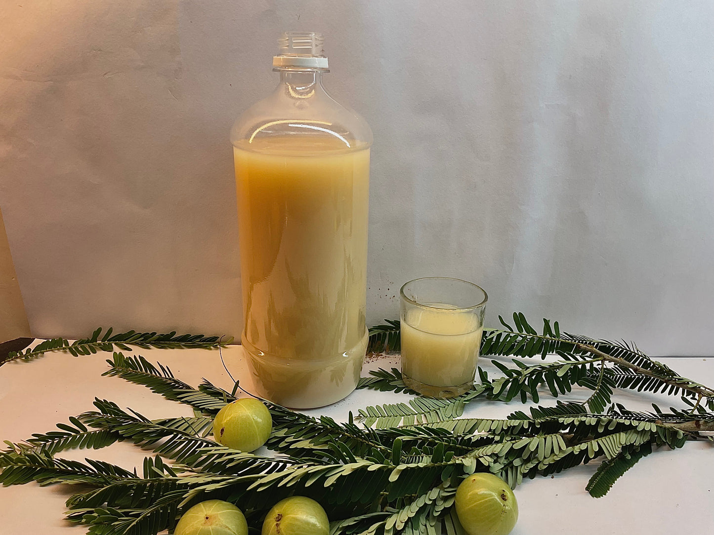 Dhatri Amla Juice – Pure Wellness from Pratapgarh